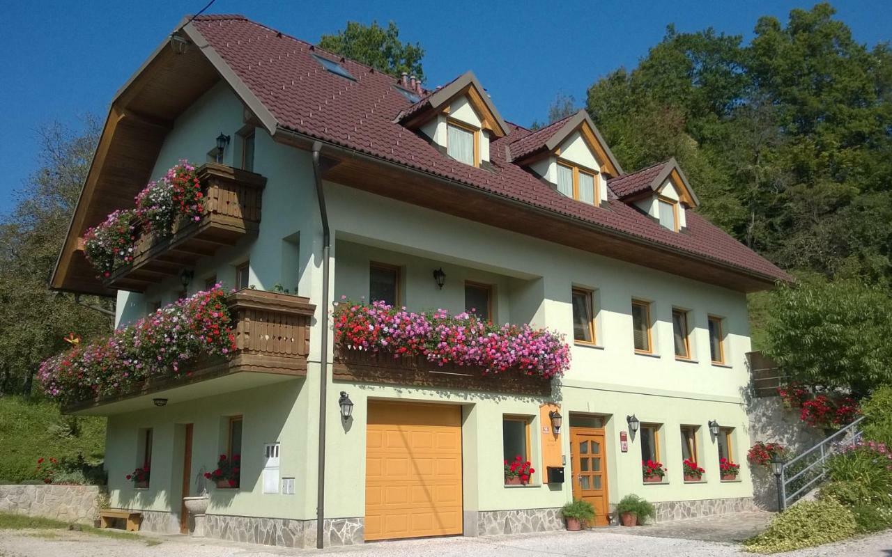 Apartmaji Hribar Pr'Ostank Kamnik Exterior foto